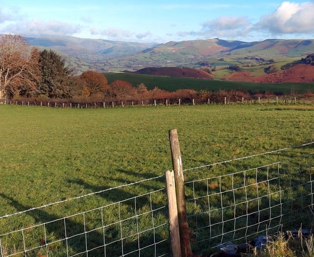 Glyndŵr’s Way awaits Meirionnydd Ramblers