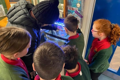 Pupils to learn more about life of trout with classroom hatchery
