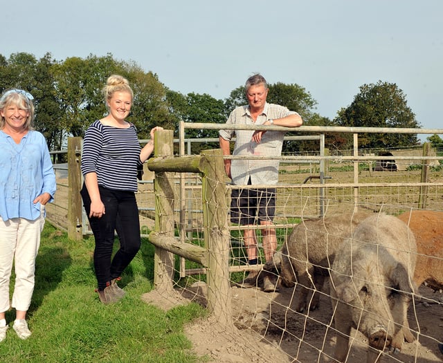 Young entrant helps Teifi pig farmers solve succession dilemma