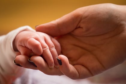 Life expectancy for babies born in Gwynedd increased despite Covid-19