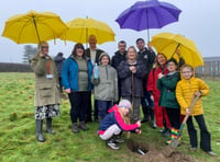 Aberystwyth children plant apple trees in university heritage orchard