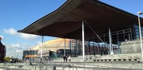 Senedd to debate lying politician plans today