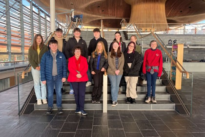Ceredigion Youth Council meets MS in the Senedd