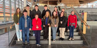 Ceredigion Youth Council meets MS in the Senedd