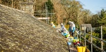 Rare bees removed from roof of National Trust house