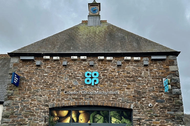 The project installed 17 swift boxes hosting a total of 32 nesting cavities for the migrating birds