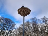 Brand new bird hotel installed as residences for endangered creatures