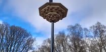 Brand new bird hotel installed as residences for endangered creatures