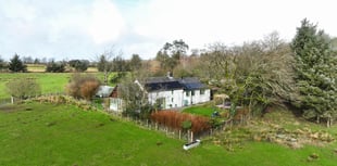 "Charming" cottage for sale has panoramic mountain views 