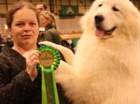 Puppy is top dog after picking up prizes at Crufts