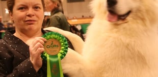 Puppy is top dog after picking up prizes at Crufts