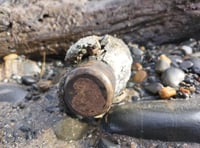 Bomb disposal team called to Ynyslas