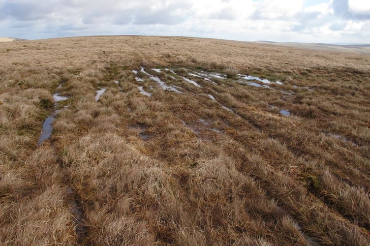 Vehicle damage to Monks Trod peat land