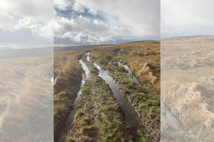 PCC added: "Our understanding is that the current Powys Local Access Forum has not come to an agreed view on this proposal and we will continue to liaise with the forum and other key stakeholders, including Ceredigion County Council, to protect the ancient Monks Trod from further deterioration as part of the project.”