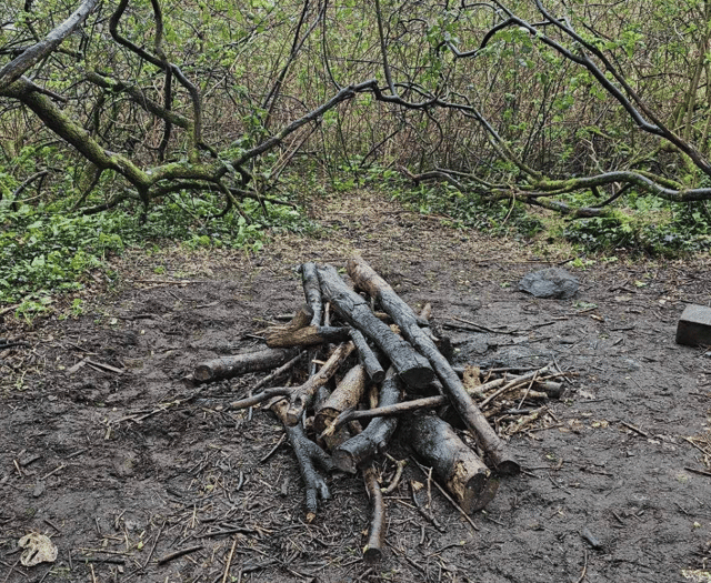 Police patrols and CCTV for nature reserve in bid to stop campfires