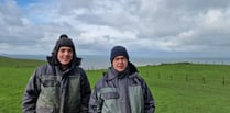 Coastal farm tackles changing weather with grass management  