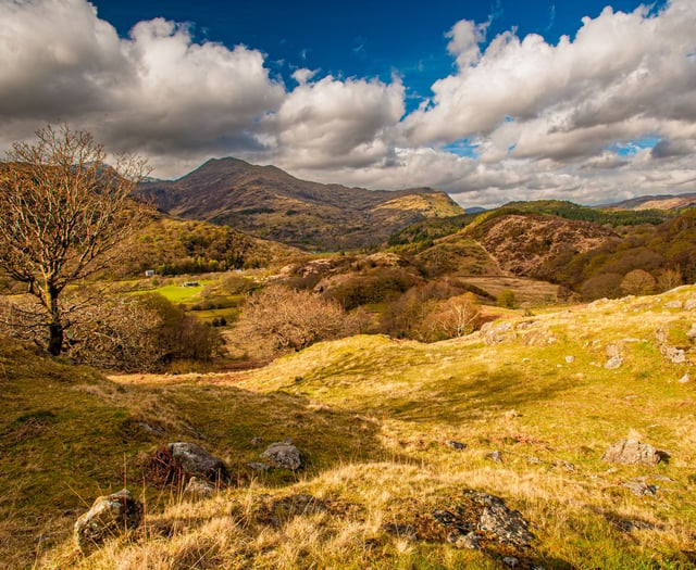 National Trust Cymru seeking tenant for ‘dream’ farm 