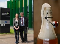 Aber researchers to test health benefits of kombucha tea