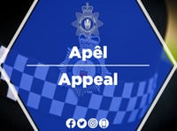 Police launch appeal following possible arson in Bangor