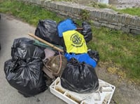 Rotary club marks Earth Day with well-supported litter pick