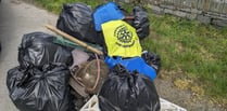 Rotary club marks Earth Day with well-supported litter pick