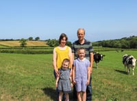 Could white clover help Ceredigion farm become more productive?