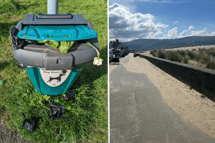 Glyn captured the state of the bins (left) and Mags the sand on the prom (right)