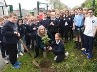 Pupils plant rose named after Gwynedd gardener John Ystumllyn