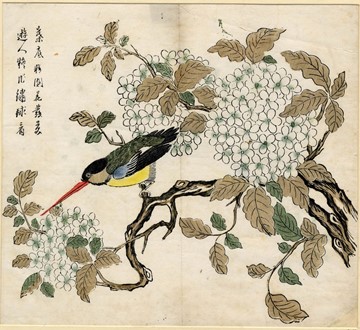 Woodblock print of a bird and hydrangeas, China, c.1690–1720. © 2024 The Trustees of the British Museum