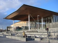 Calls for Senedd 'sin bin' system