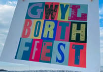 The first ever BorthFest is coming this bank weekend celebrating Borth's artistry
