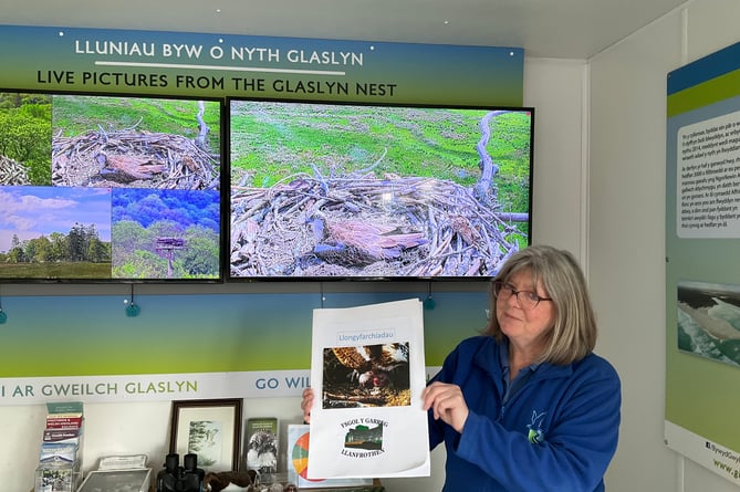 Heather Corfield pictured with a card made by pupils from Ysgol Y Garreg, Llanfrothen congratulating Aran and Elen on their three eggs