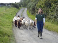 Ceredigion farmer calls for industry to adapt on World Environment Day