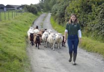 Ceredigion farmer calls for industry to adapt on World Environment Day