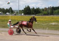 Fast and furious harness racing at Tairgwaith