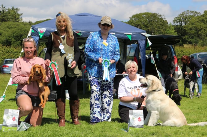 Novelty Champion Millie with Ffion Wyn-Roberts, Judge, Glynis Pink, Dog Section Secretary Kris Fry, and Novelty Reserve Champion Milo with Susan Jones, Penrhyncoch. Photo: Les Fry