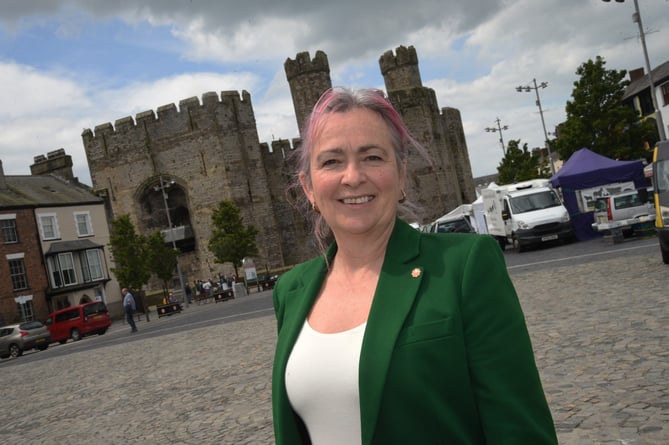 Liz Saville Roberts is once again standing for Plaid Cymru