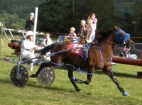 Juicy Wiggle takes open final win at Presteigne