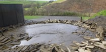 Farmers fined after 70,000 gallons of slurry poured into stream