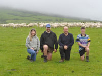 Genetic programme helps boost lambing