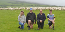 Genetic programme helps boost lambing