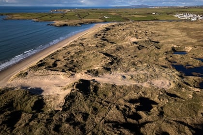 Gwynedd sand dunes benefit from five-year project