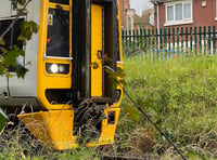 Fallen tree damages Aberystwyth train