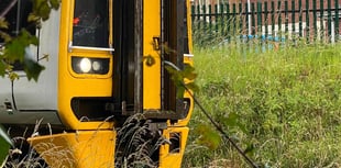 Fallen tree damages Aberystwyth train