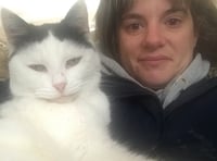 Cardigan woman will do birthday sky dive to raise money for cats