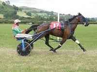 Alibis Dream wins Wales & Border Harness Racing open final