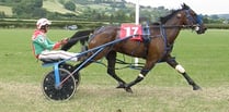 Alibis Dream wins Wales & Border Harness Racing open final