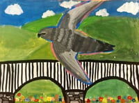 Llanidloes children's art competition celebrates seasonal swift soirée