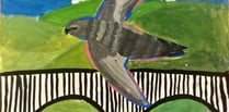 Llanidloes children's art competition celebrates seasonal swift soirée