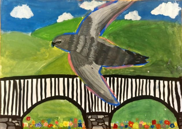 Llanidloes children's art competition celebrates seasonal swift soirée